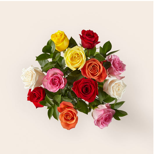 Dozen Wrapped Roses Selected colors - Rainbow, Red, Pink or Yellow